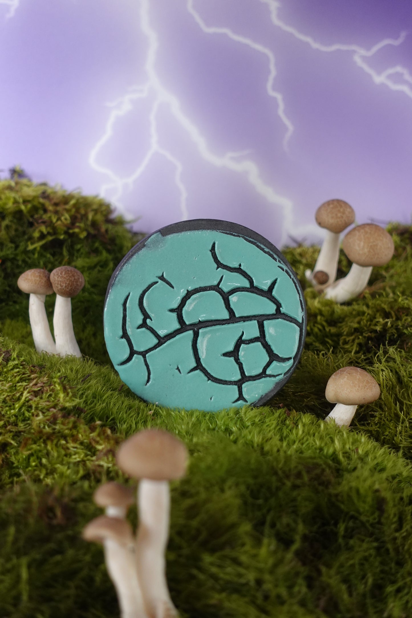 Cyber Monday Exclusive