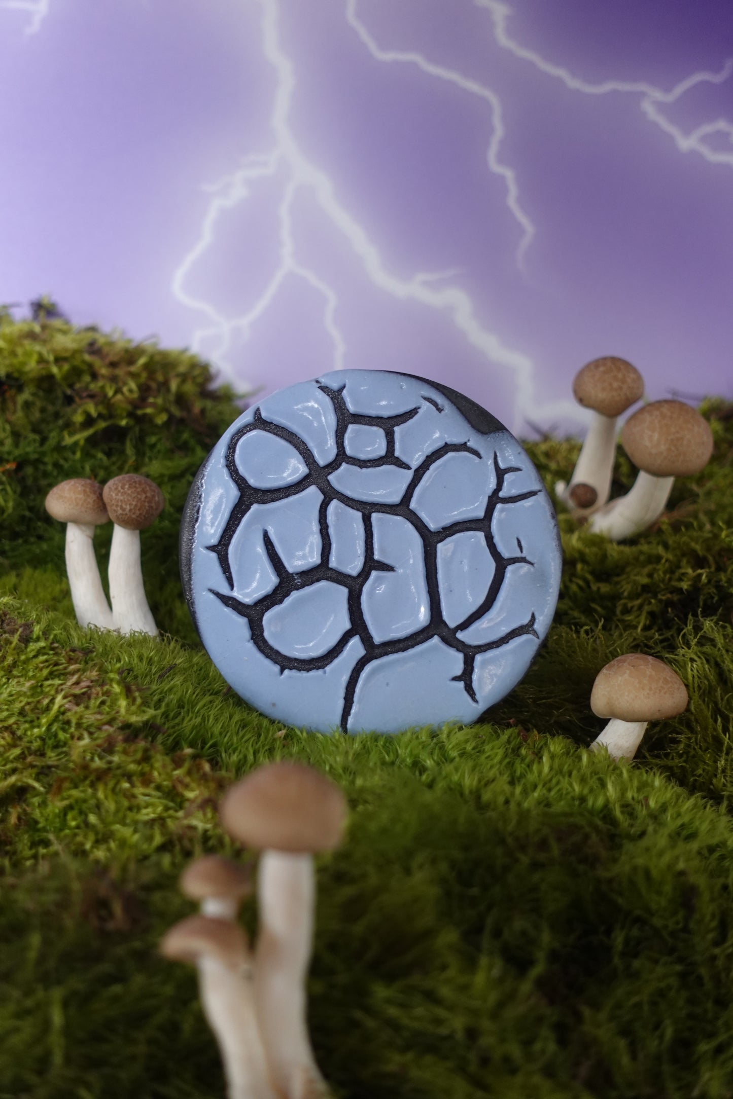 Cyber Monday Exclusive