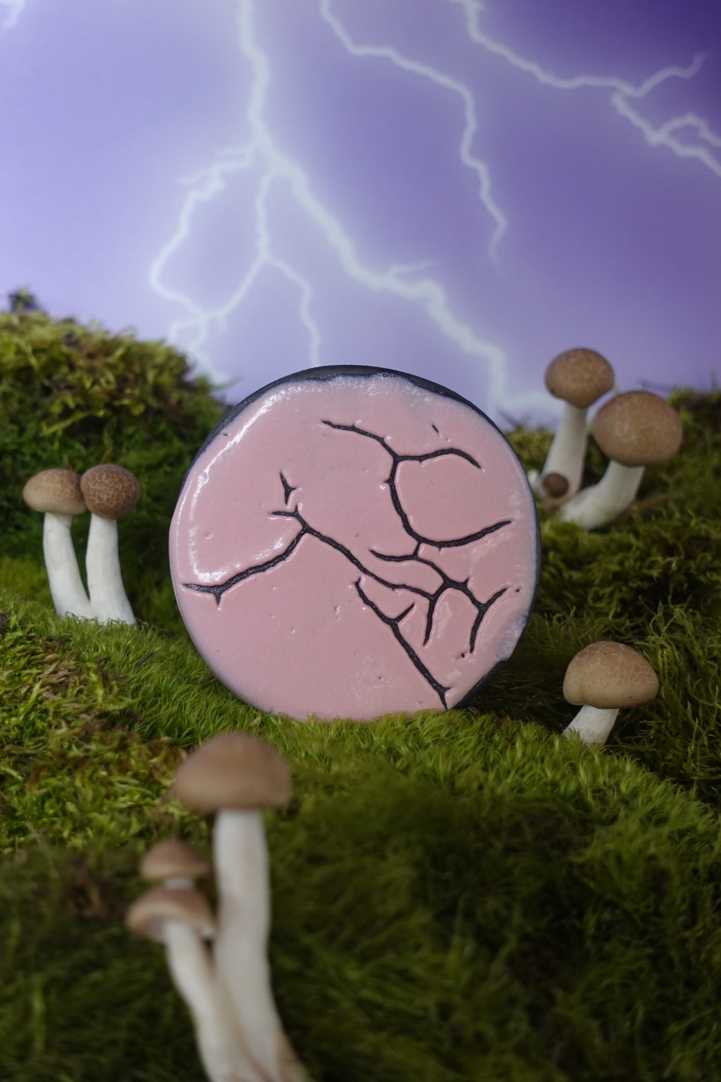 Cyber Monday Exclusive