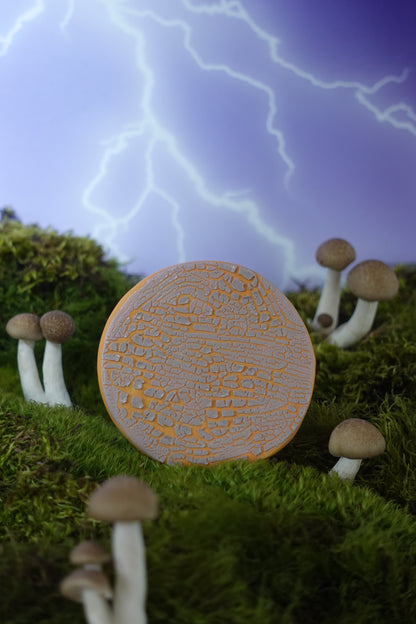 Mystic Mold