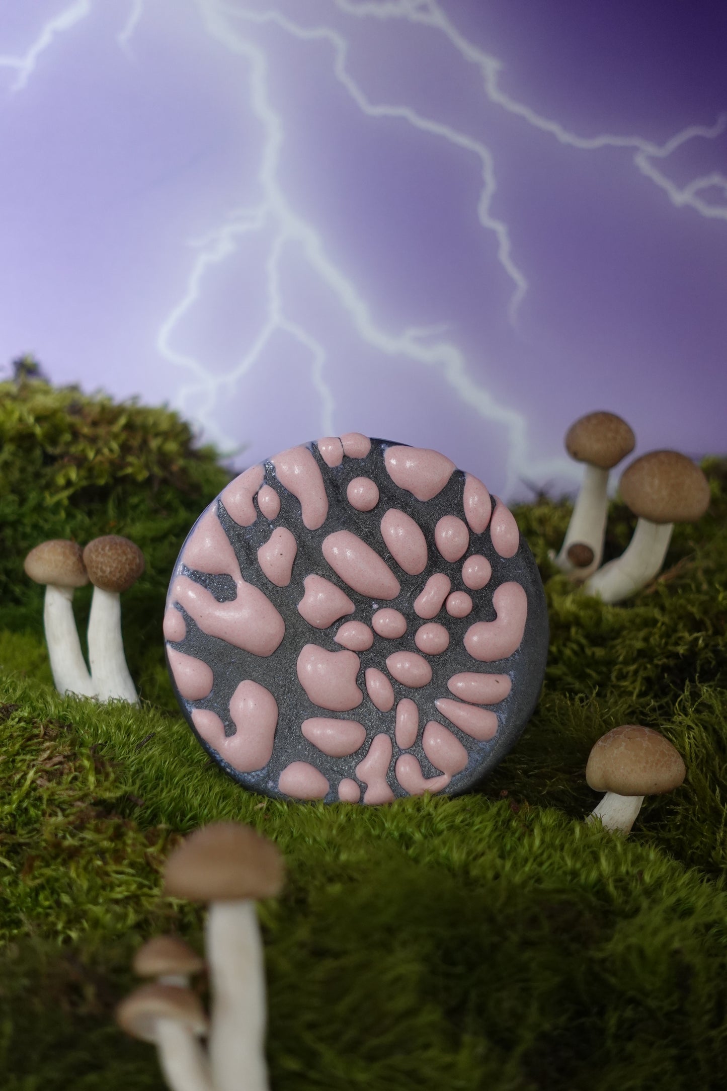 Cyber Monday Exclusive